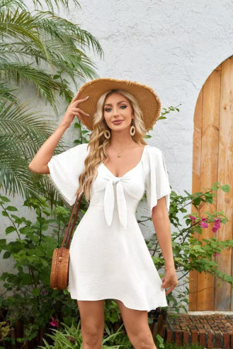 Timeless Elegant Casual Dress