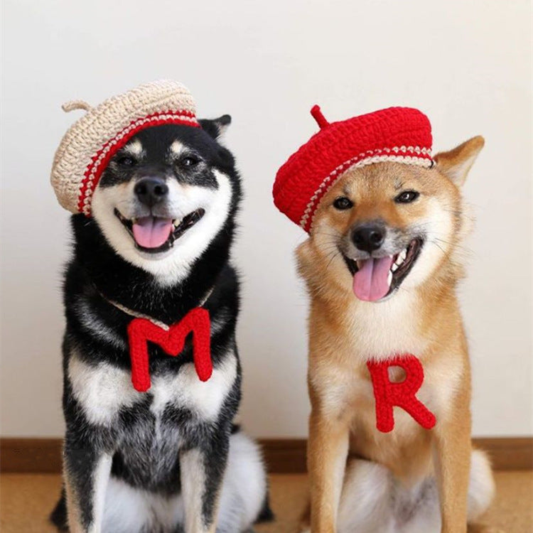 Cute Hand-Knitted Mini Beret for Dogs
