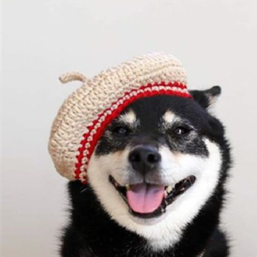 Cute Hand-Knitted Mini Beret for Dogs