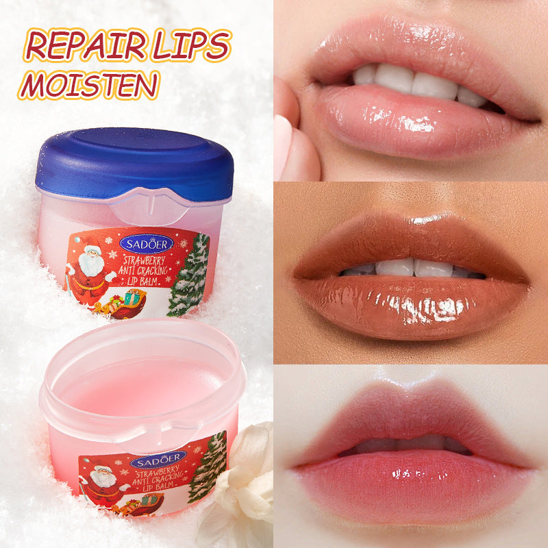 Full Nourishing Lip Balm Set