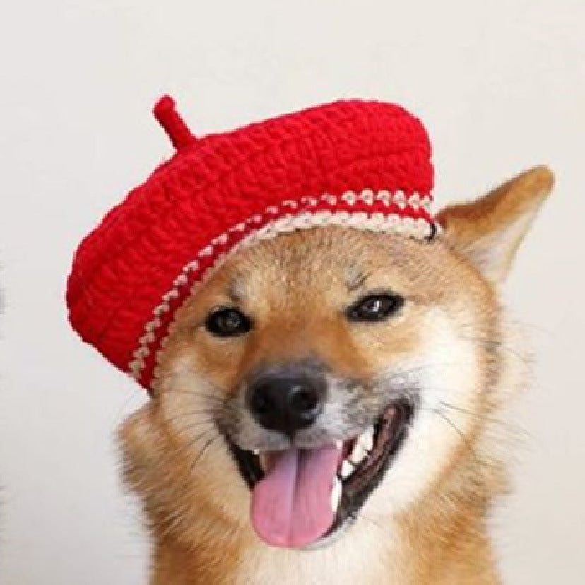 Cute Hand-Knitted Mini Beret for Dogs