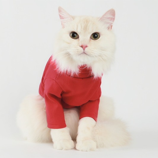 Cozy Red Turtleneck for Pets
