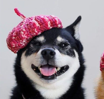 Cute Hand-Knitted Mini Beret for Dogs
