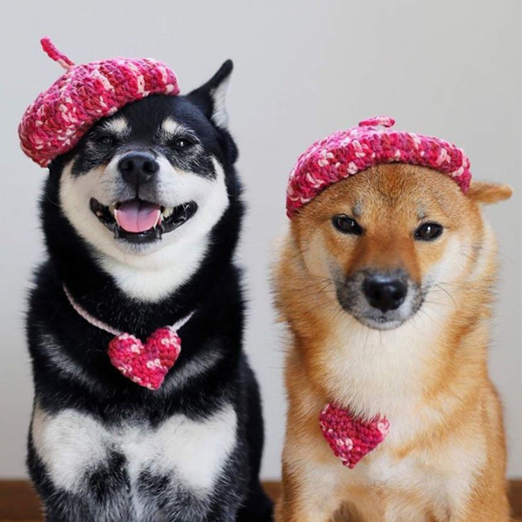 Cute Hand-Knitted Mini Beret for Dogs