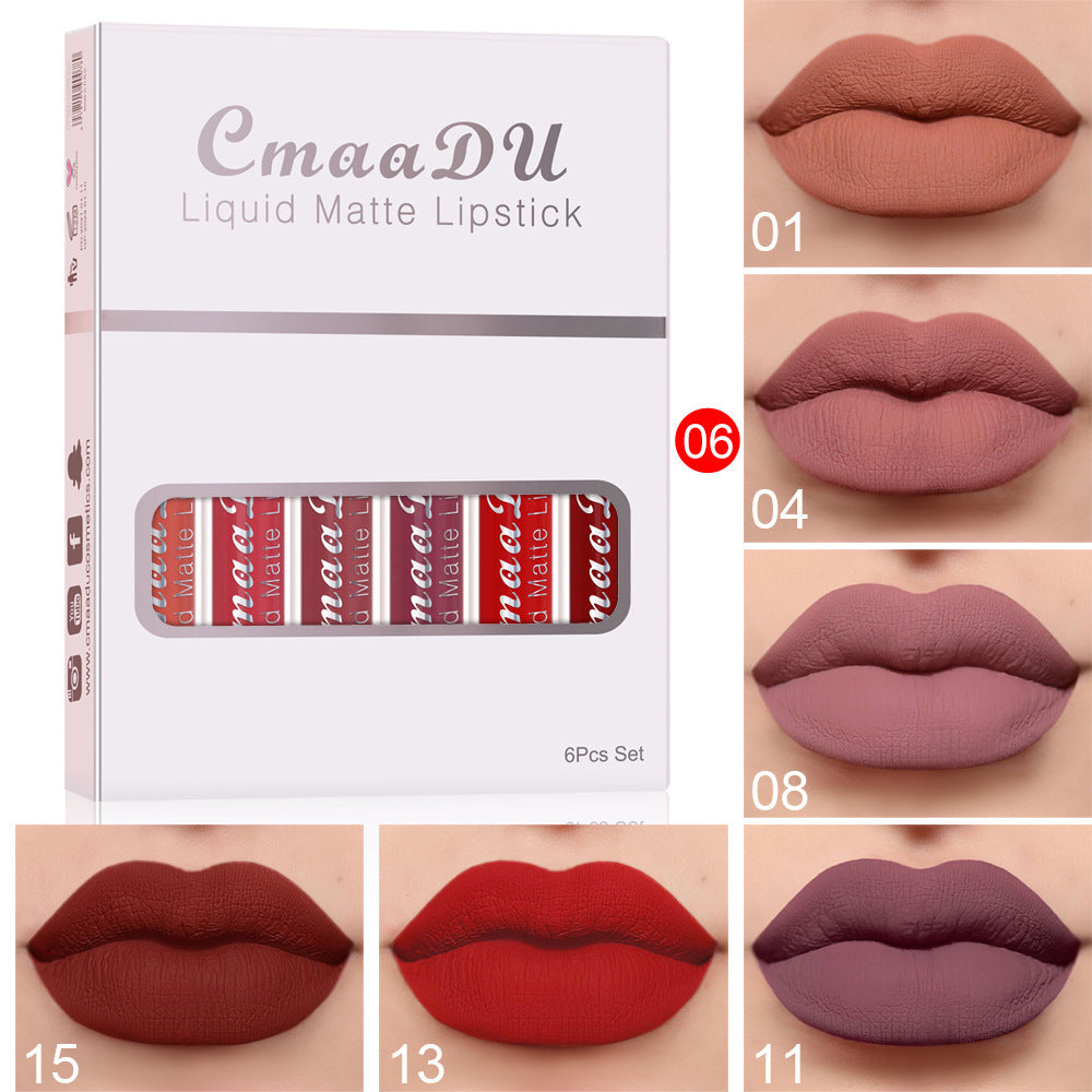 6-Piece Matte Waterproof Lip Gloss Set
