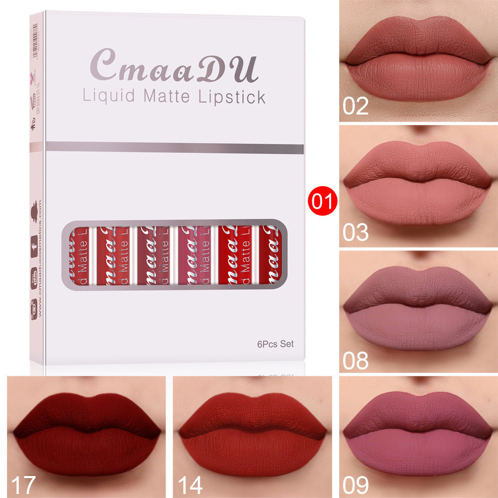 6-Piece Matte Waterproof Lip Gloss Set