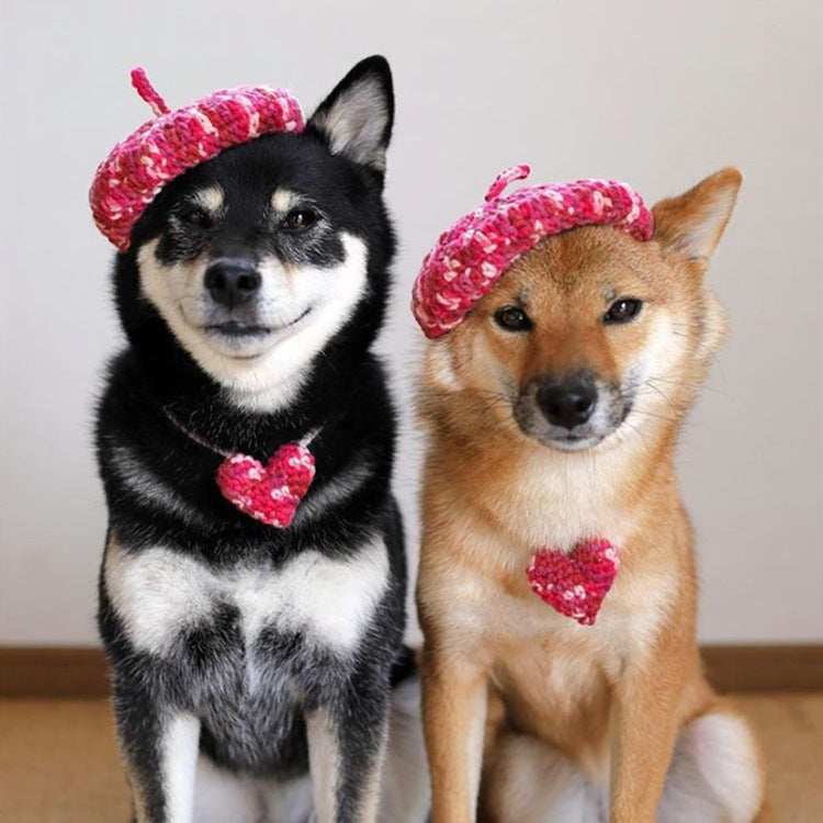 Cute Hand-Knitted Mini Beret for Dogs